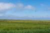 terschelling2023_314_small.jpg
