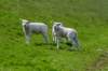 terschelling2023_316_small.jpg