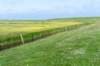 terschelling2023_317_small.jpg