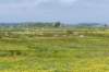 terschelling2023_318_small.jpg