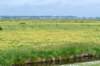 terschelling2023_319_small.jpg