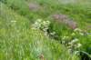 terschelling2023_321_small.jpg