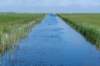 terschelling2023_322_small.jpg