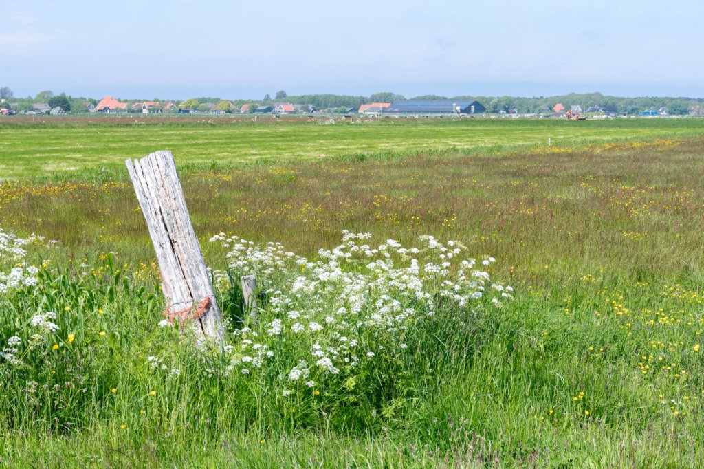 terschelling2023_323.jpg