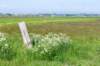 terschelling2023_323_small.jpg