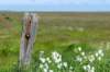 terschelling2023_324_small.jpg