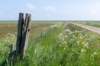 terschelling2023_325_small.jpg