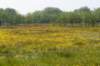 terschelling2023_327_small.jpg