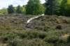 terschelling2023_340_small.jpg