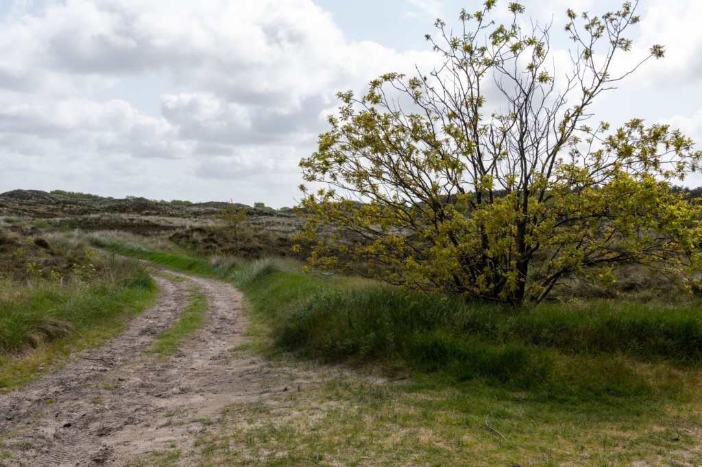 terschelling2023_342.jpg