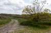 terschelling2023_342_small.jpg