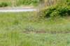 terschelling2023_345_small.jpg
