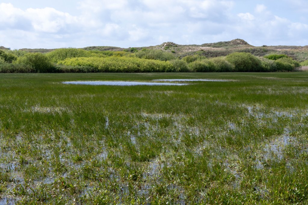 terschelling2023_348.jpg