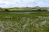 terschelling2023_348_small.jpg