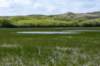 terschelling2023_349_small.jpg