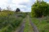 terschelling2023_351_small.jpg