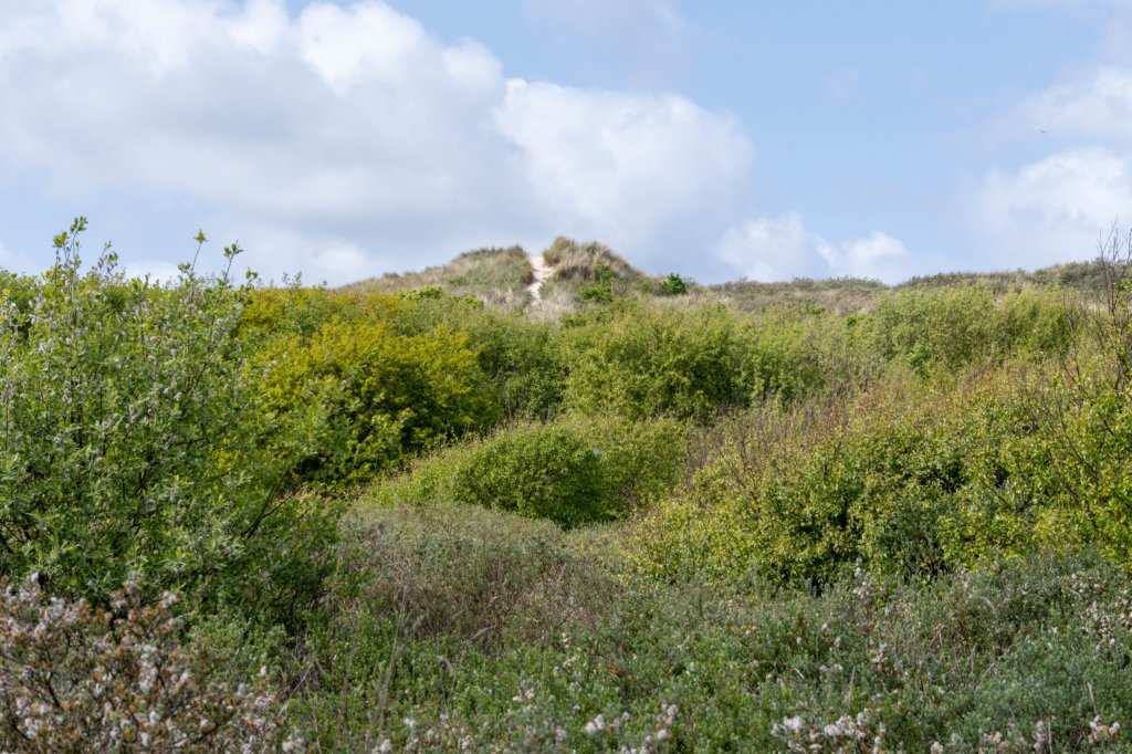 terschelling2023_352.jpg