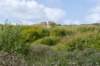 terschelling2023_352_small.jpg