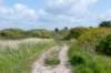 terschelling2023_353_small.jpg