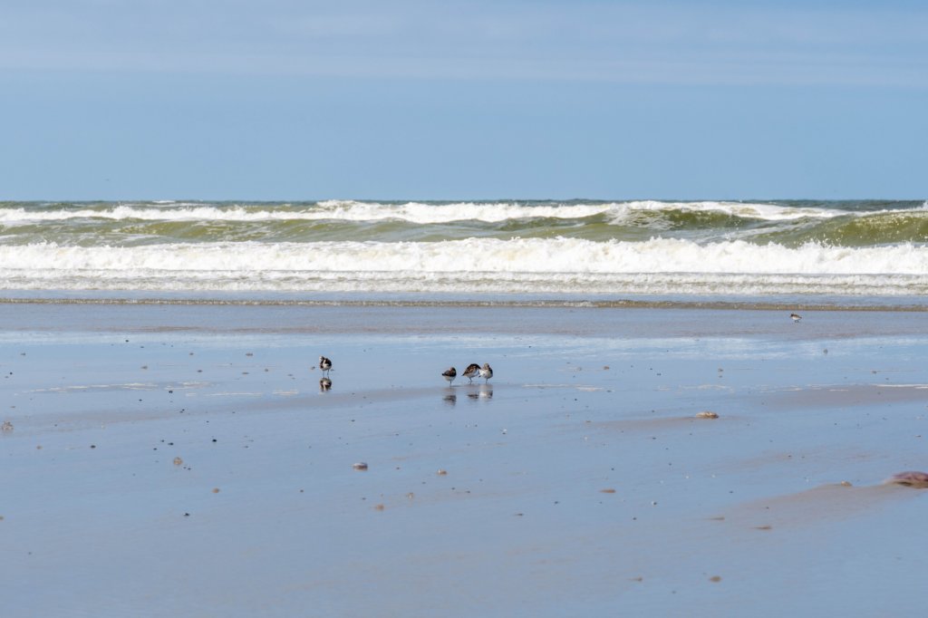 terschelling2023_375.jpg
