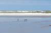 terschelling2023_375_small.jpg