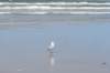 terschelling2023_376_small.jpg