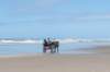 terschelling2023_378_small.jpg