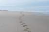 terschelling2023_380_small.jpg