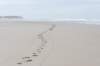 terschelling2023_382_small.jpg