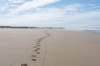 terschelling2023_384_small.jpg