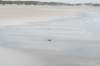 terschelling2023_385_small.jpg