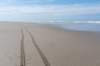 terschelling2023_386_small.jpg