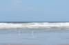 terschelling2023_388_small.jpg