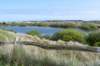 terschelling2023_389_small.jpg