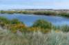 terschelling2023_390_small.jpg