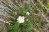 terschelling2023_391_small.jpg