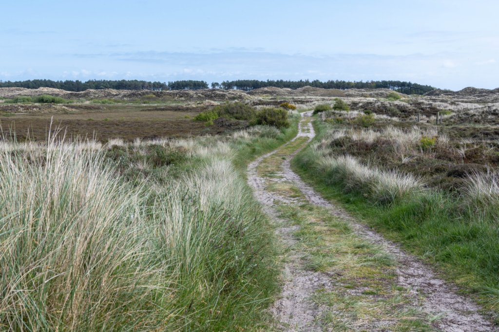 terschelling2023_393.jpg