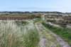 terschelling2023_393_small.jpg
