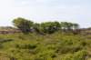 terschelling2023_394_small.jpg