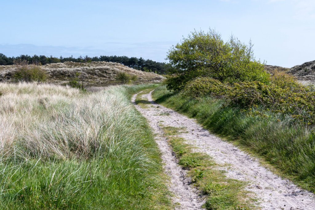 terschelling2023_396.jpg
