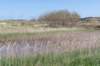 terschelling2023_397_small.jpg