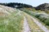 terschelling2023_399_small.jpg