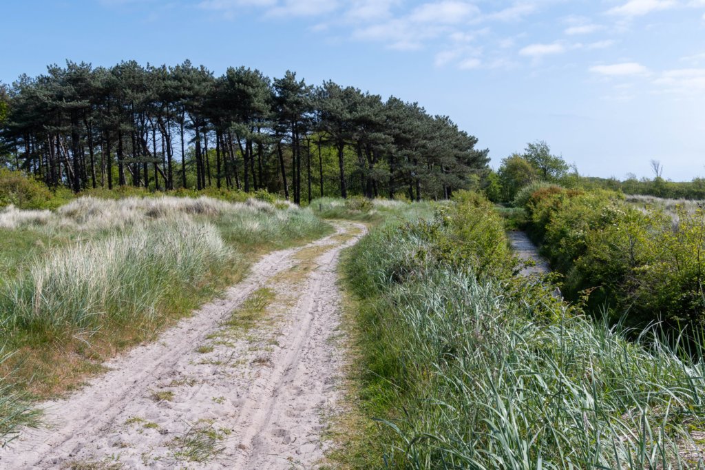 terschelling2023_400.jpg