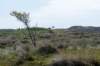 terschelling2023_401_small.jpg