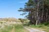 terschelling2023_403_small.jpg