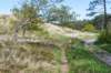 terschelling2023_404_small.jpg