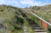 terschelling2023_406_small.jpg