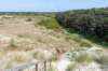 terschelling2023_408_small.jpg