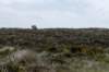 terschelling2023_415_small.jpg