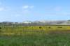 terschelling2023_416_small.jpg